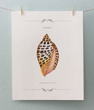 Print - Junonia