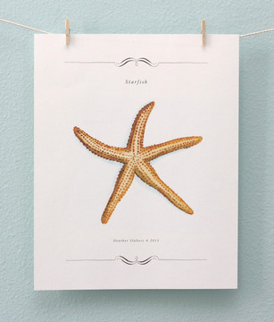 Print - Starfish