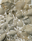 Fossils
