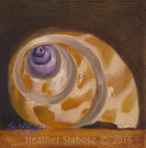 sea shell painting