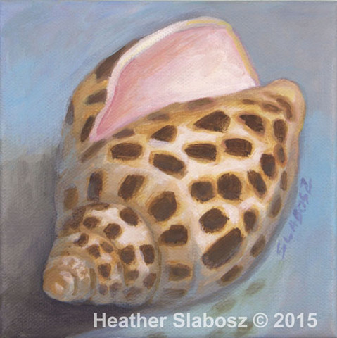 Junonia
6 x 6 acrylic