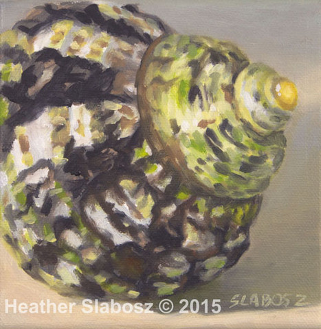 Nerita Shell - Sold
6 x 6 oil on canvas