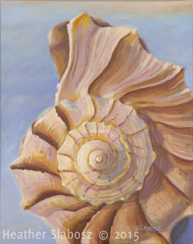 Lightning Whelk
15 x 20 oil on canvas