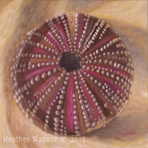 Sea Urchin - Sold
12 x 12 oil on canvas