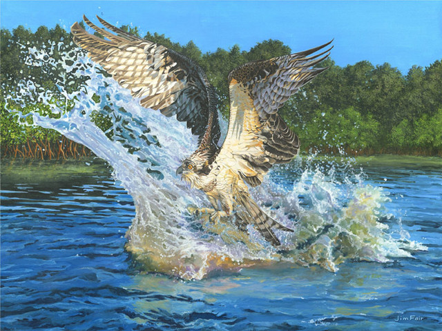 Sanibel Osprey - SOLD