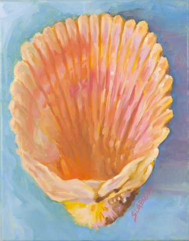 Cockle Shell
11 x 14 oil